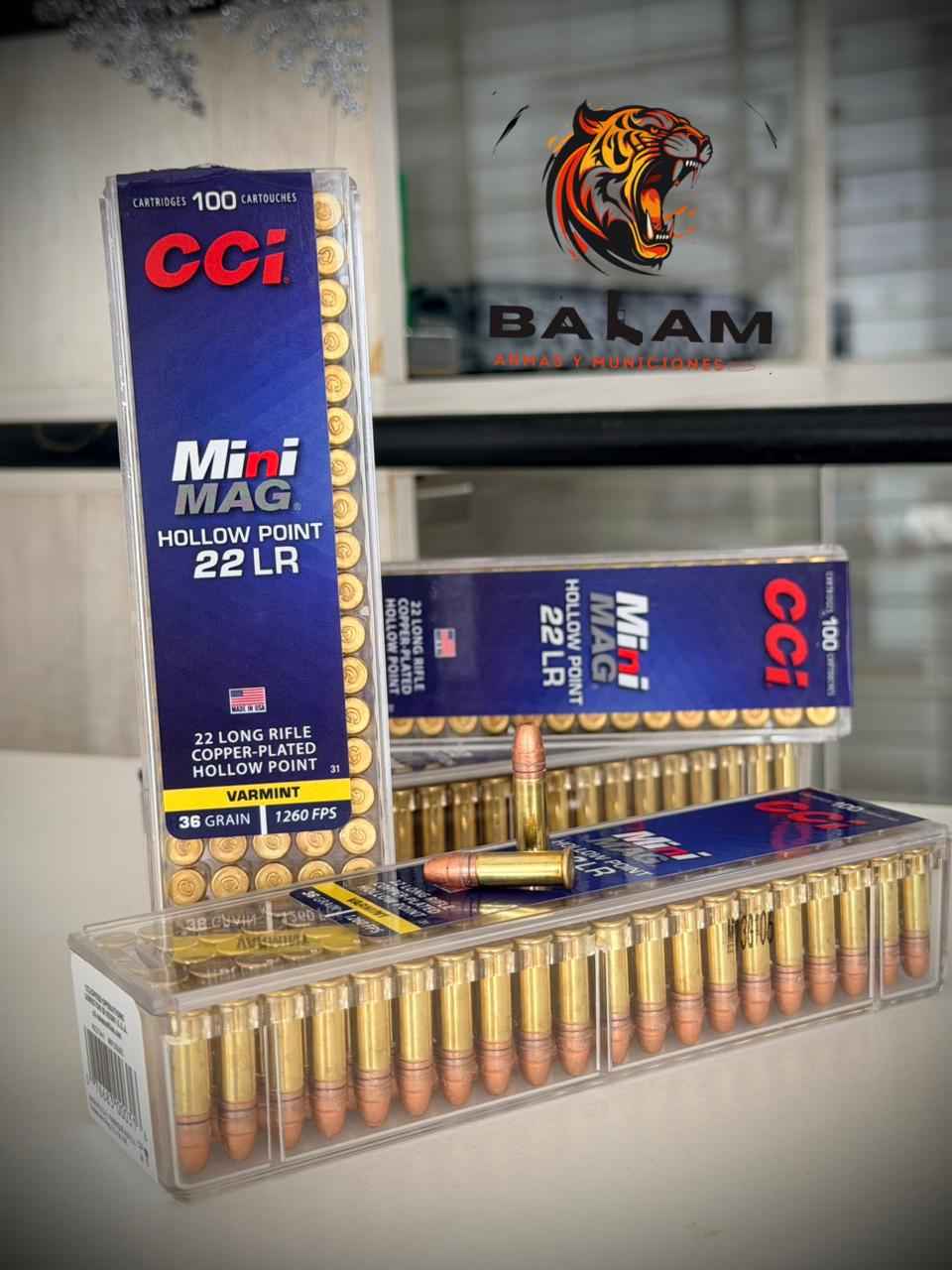 .22 LR CCI HP